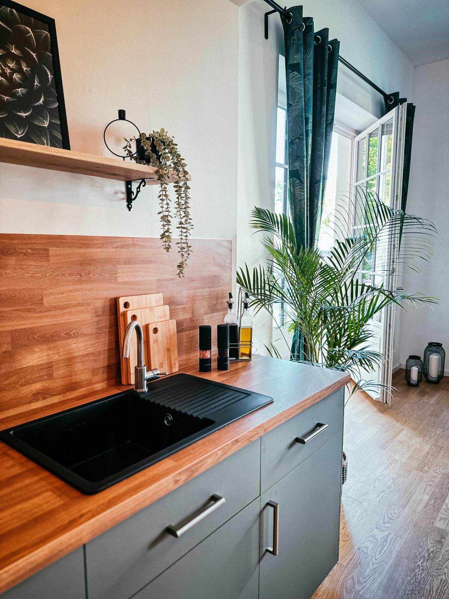 Oasis Appart - Wohnen Im Koenigspark - Elbhang Dresden - Grosse Terrasse - Netflix - Tg Exterior photo